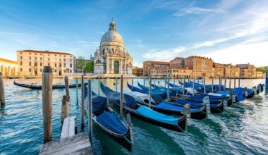 Cannibalistic jellyfish invade holiday hotspot as 'warty comb' creatures wreak havoc in lagoon after 'arriving on ship'