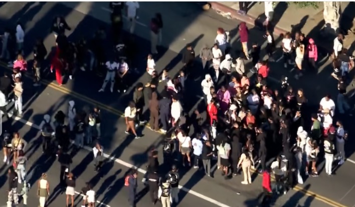 Aerial view of a large crowd of people gathered in the street during the MLK Parade in Leimert Park.