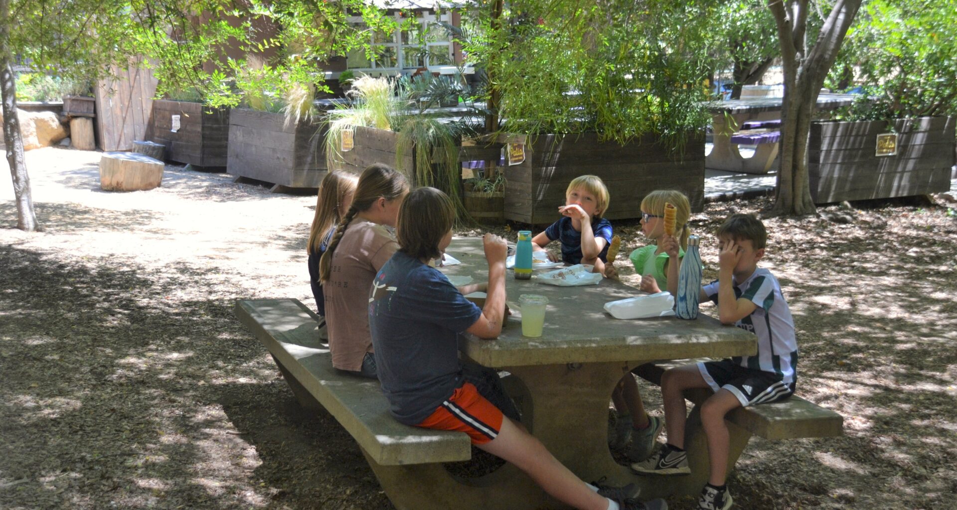 Best Cheap Places to Eat in Los Angeles for Kids & Families (Under $15!)