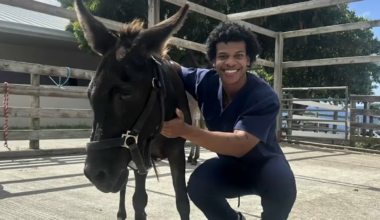 Cause of death disclosed for veterinary student Christian Law – NBC Chicago