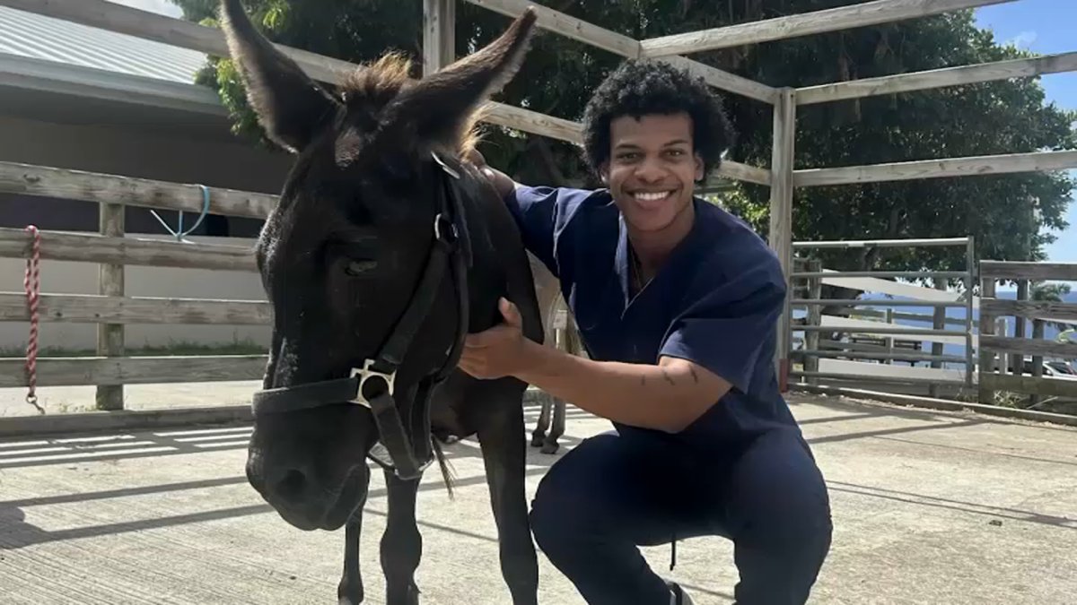 Cause of death disclosed for veterinary student Christian Law – NBC Chicago