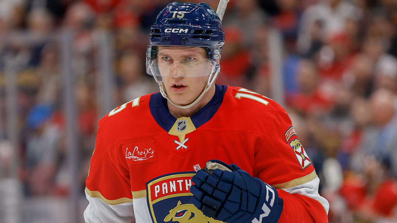 Lundell fined maximum for high-sticking in Panthers game