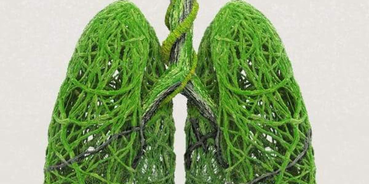 The 11 theater shows you shouldn’t miss in DFW this January