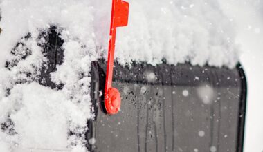 Nasty weather shuts down mail delivery in the Sault