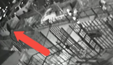 Chicago police release video of suspect wanted in connection with Marshall Square homicide last month