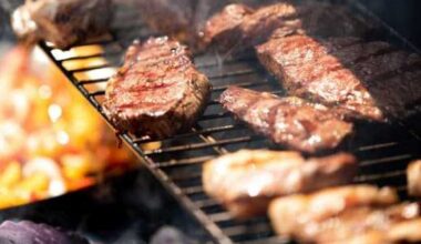 SA's Norteño Fest returns with carne asada cookoff and rodeo