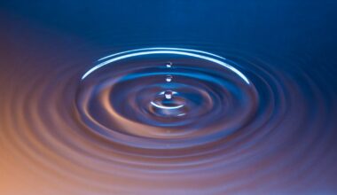 Why We Need Meditation in the AI Era