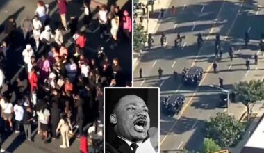 Man stabbed, officer assaulted after brawl erupts at LA's MLK Day Parade: cops, report