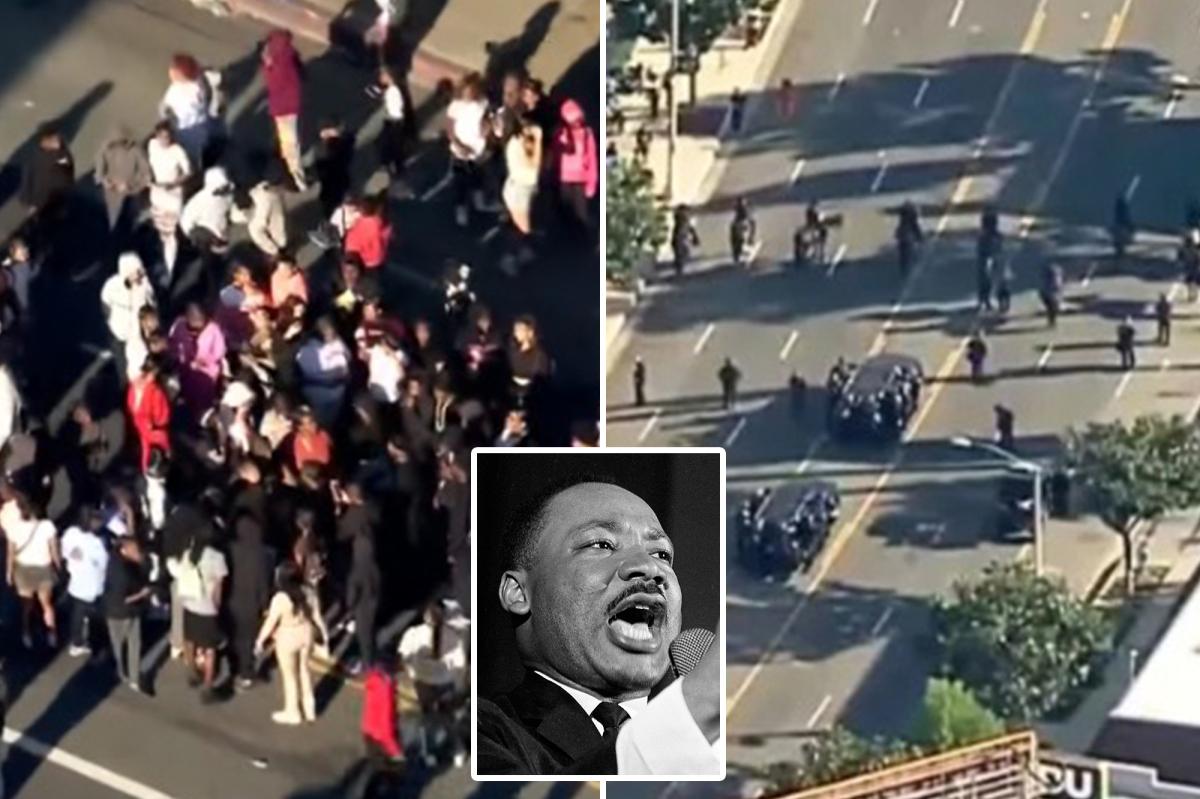 Man stabbed, officer assaulted after brawl erupts at LA's MLK Day Parade: cops, report