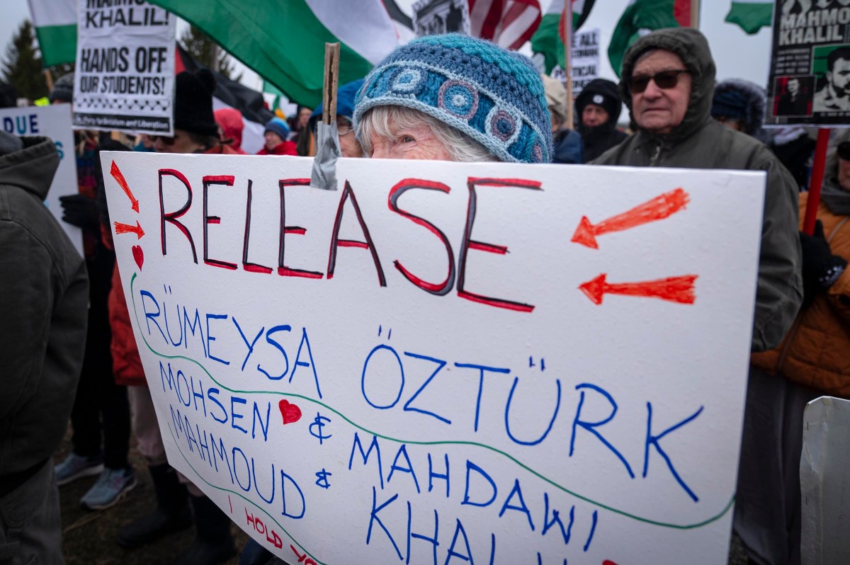 A protester in winter clothing holds a sign calling for the release of Rumeysa Öztürk, Mohsen Mahdawi, and Mahmoud Khalil at an outdoor rally; others and protest signs are visible in the background.