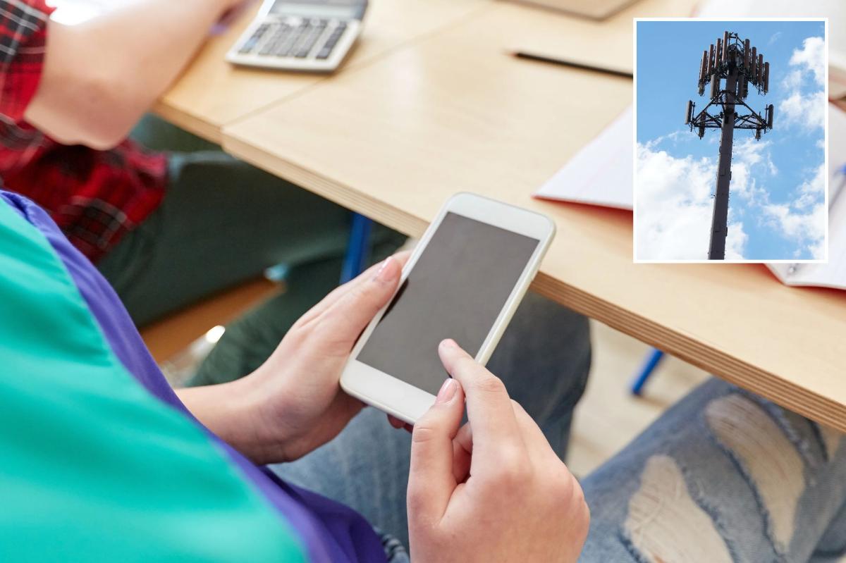 Cellphone health risks are focus of new government study