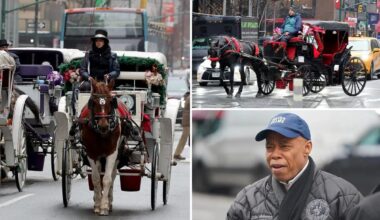 Exclusive | NYC's horse carriages must get city vet inspection or have license revoked: 11th-hour Adams order