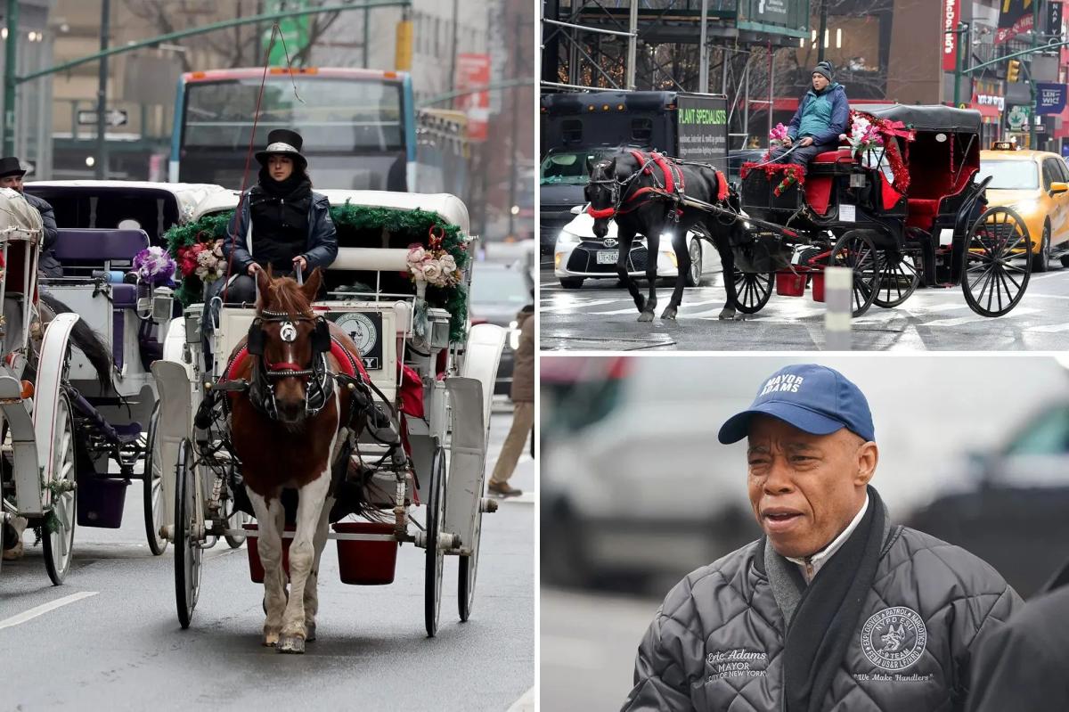 Exclusive | NYC's horse carriages must get city vet inspection or have license revoked: 11th-hour Adams order