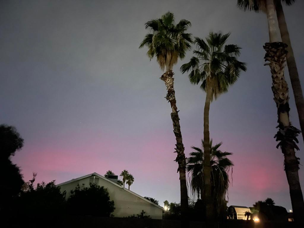 Faint purple and pink auroral glow appears over Phoenix, with palm trees silhouetted in the foreground during a 2025 northern lights display.