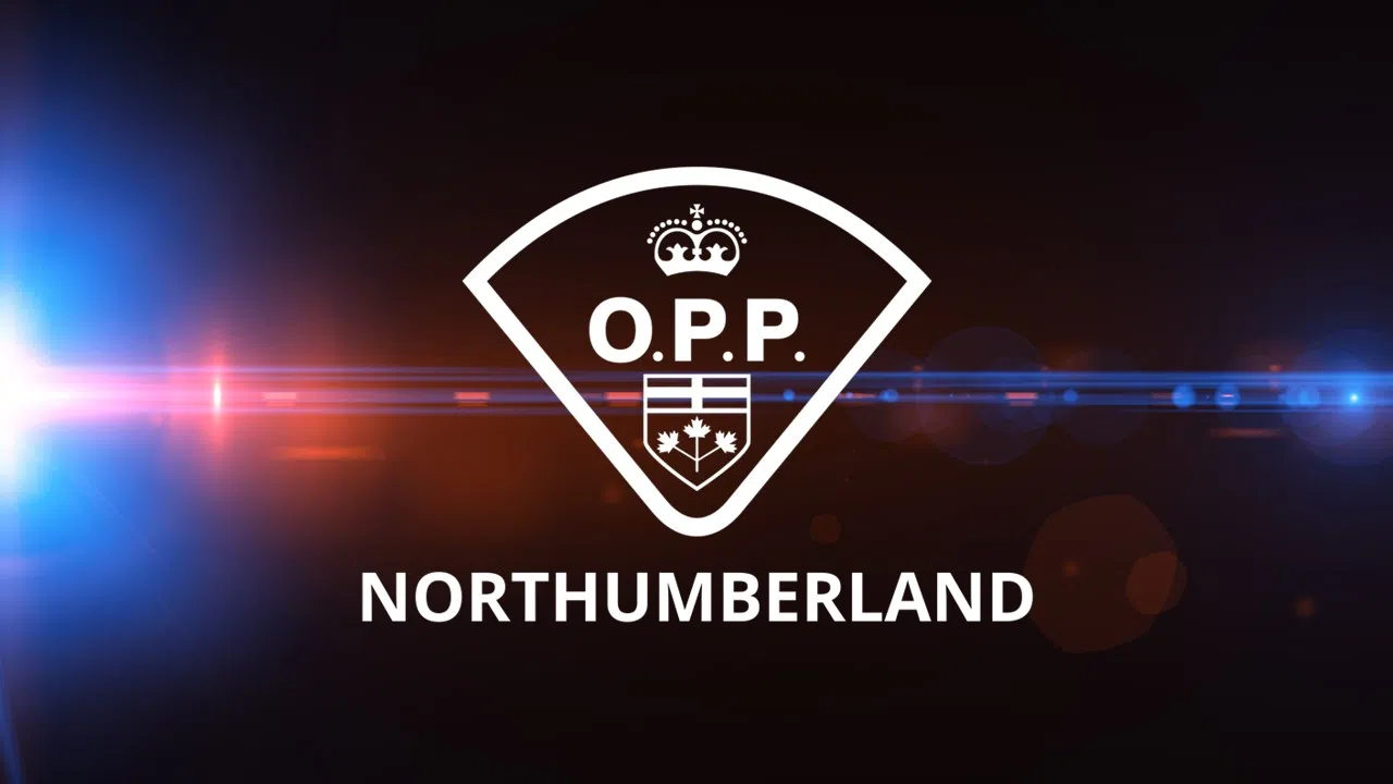 UPDATE: Fatal collision on Highway 401 in Northumberland County