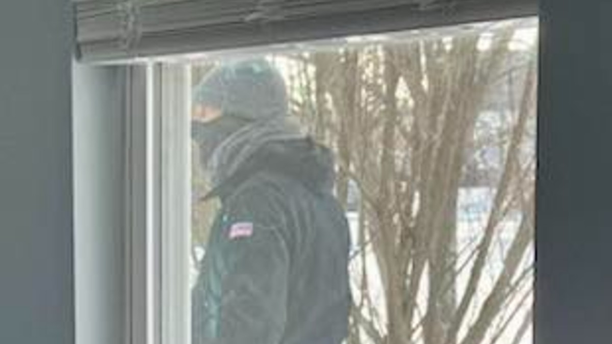 Man charged in murder of Oswego woman seen being chased on home cams – NBC Chicago