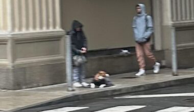 Police warn of dog attacks in Philadelphia's Center City linked to pit bull