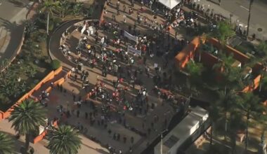 Protesters gather in Downtown LA to denounce Minneapolis ICE shooting – NBC Los Angeles