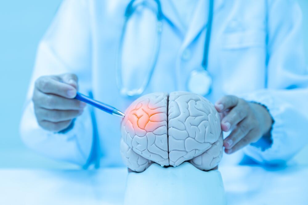 Wernicke’s encephalopathy, a rare neurological disease (Photo: Shutterstock) מוח