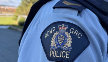 Brazen Daylight Robbery in Salmon Cove Caught on Camera