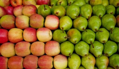 Dietitians Reveal Which Fruit Is More Nutritious