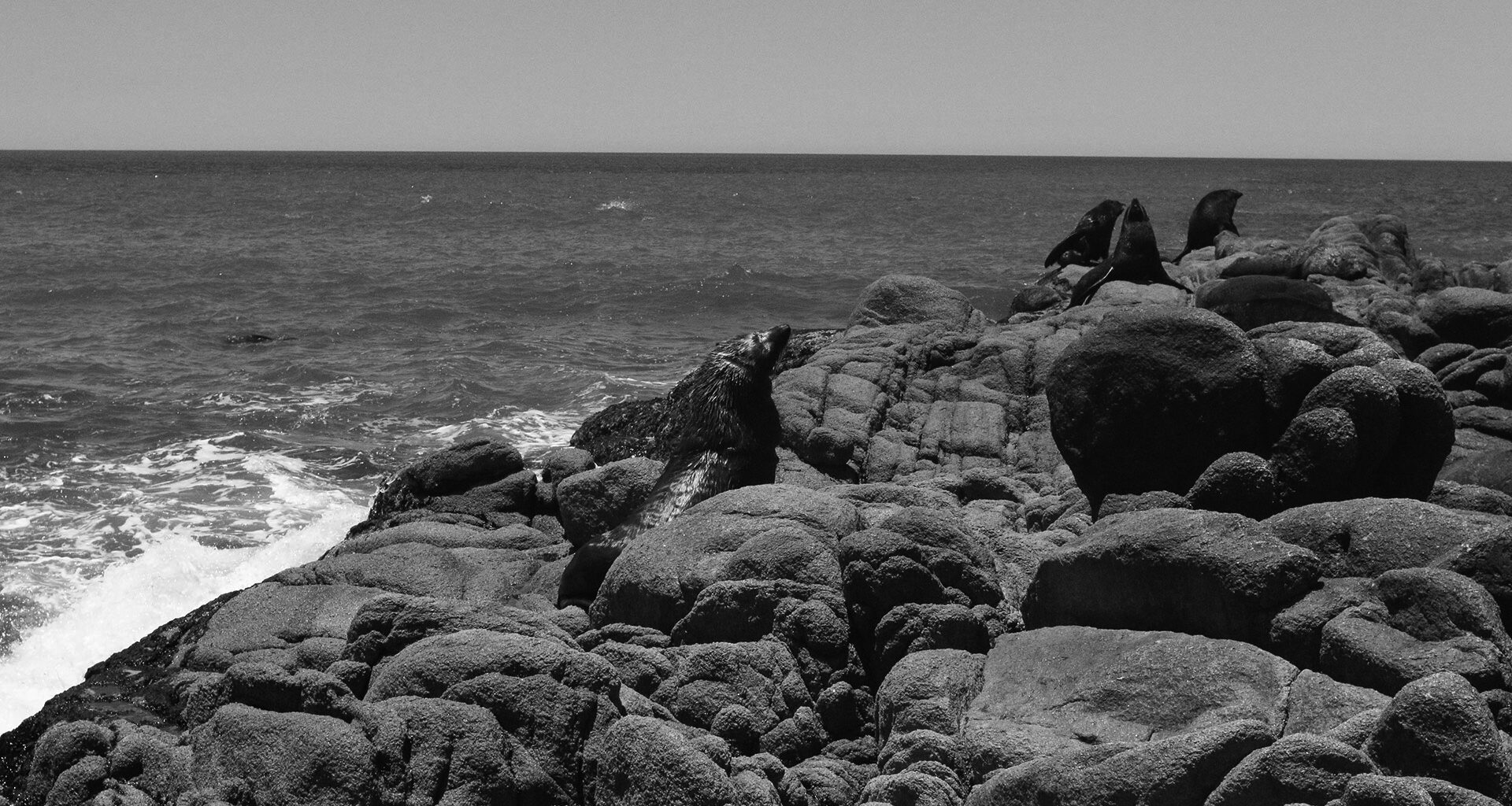 Board Affirms LA County's Global Commitment to Climate Action