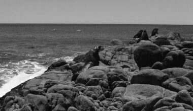 Board Affirms LA County's Global Commitment to Climate Action