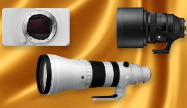 Digital camera body, a large black camera lens, and a long white telephoto camera lens displayed on a gold satin background.
