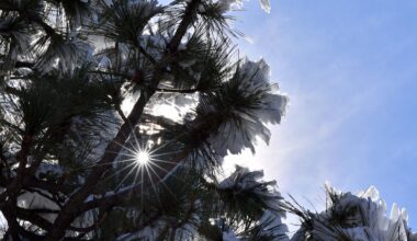 Sunny, warmer, dry weather on tap for region this week