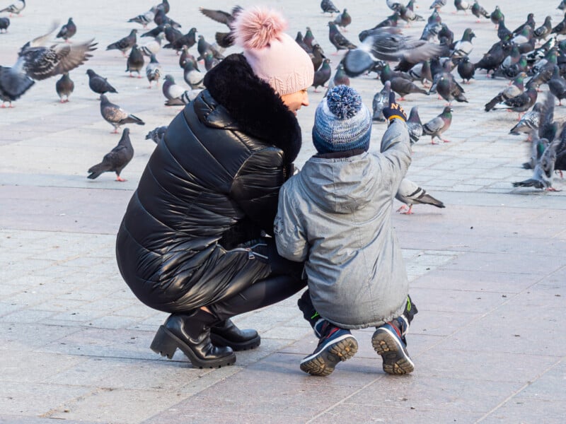 A woman and a child in winter clothes crouch on a paved area, watching and pointing at a large group of pigeons on the ground. Both are wearing hats, and the woman has a pink pom-pom hat.
