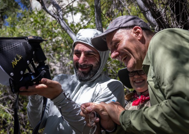 San Diego Natural History Museum's Shahan Derkarabetian, the curator of entomology, left, shows Jon Rebman, curator of botany, a macro photograph of a mite at the Sierra de las Cacachilas on Monday, Oct. 27, 2025. The teams congratulate each other on their successes. (Ana Ramirez / The San Diego Union-Tribune)