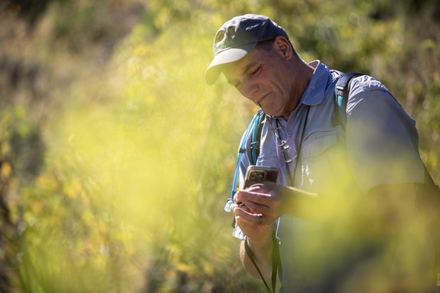 Jon Rebman, curator of botany at the San Diego Natural History Museum, hikes through the "kill zone" in the Sierra de las Cacachilas documenting plant species on Wednesday, Oct. 29, 2025. (Ana Ramirez / The San Diego Union-Tribune)