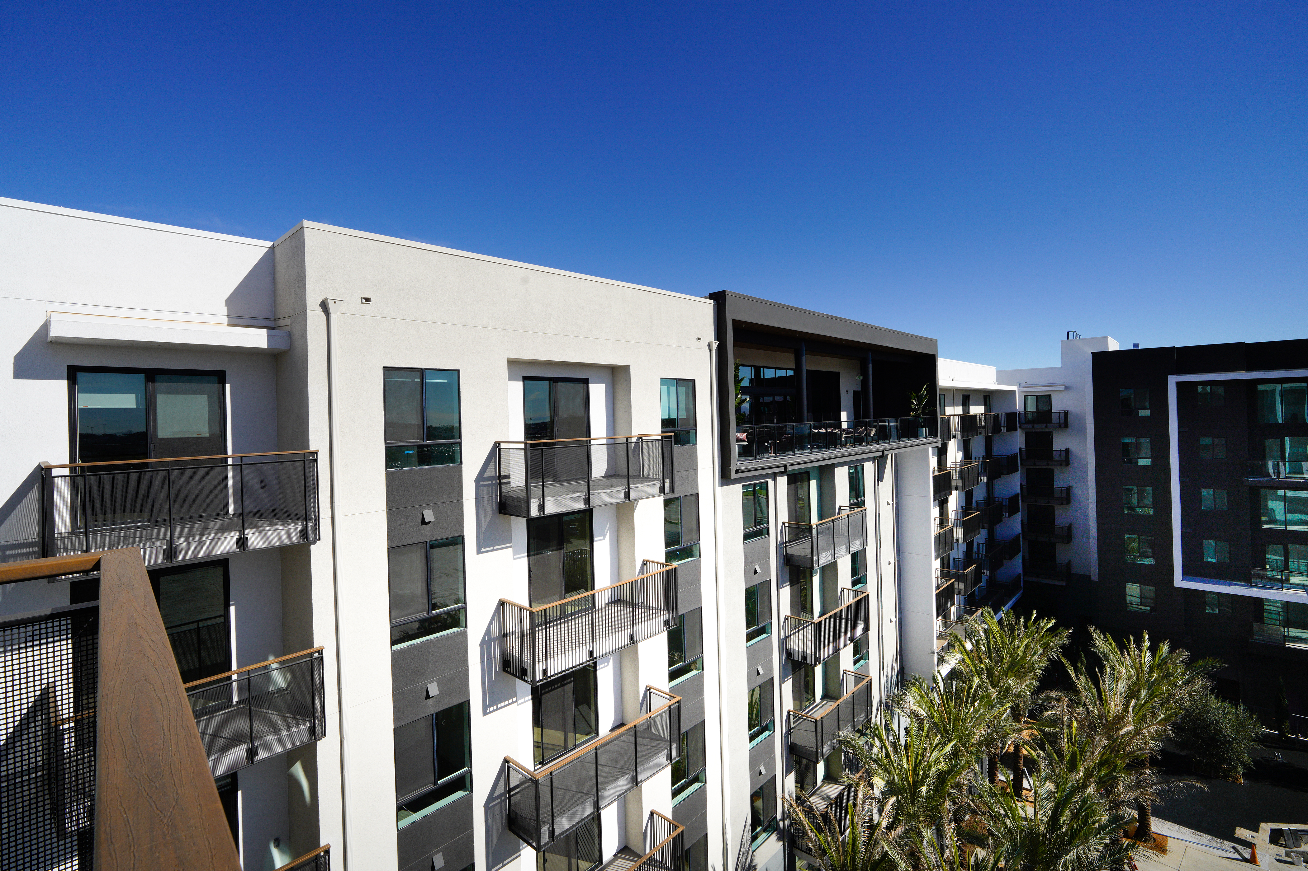 The new Alexan Camellia complex in mid-January. (Nelvin C. Cepeda...