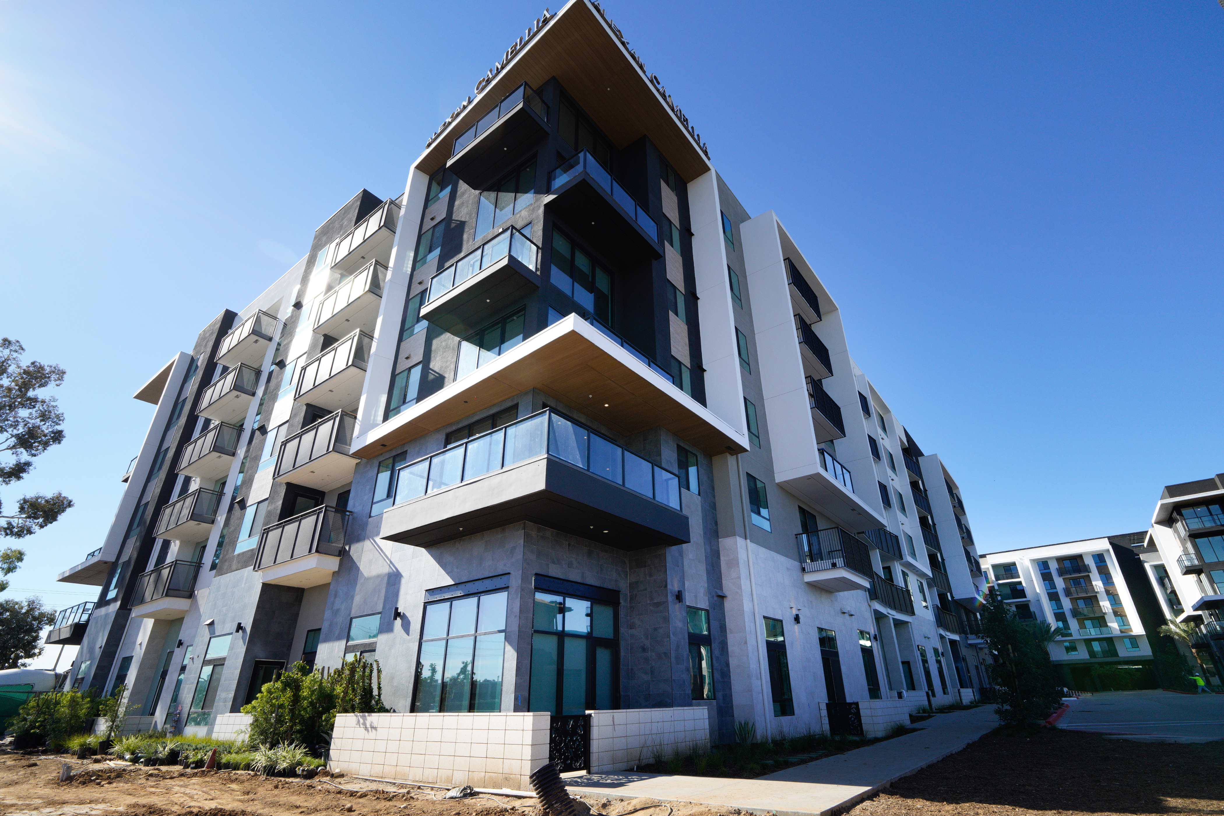 The new Alexan Camellia complex will have 531 apartments. (Nelvin...