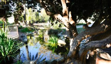 5 places to eat, drink and explore in and around San Diego State University – San Diego Union-Tribune