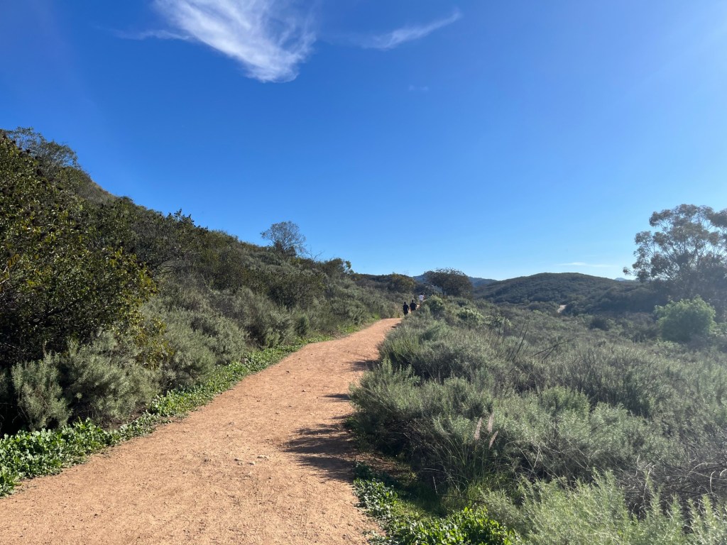 A hike under the sun at Daley Ranch – San Diego Union-Tribune