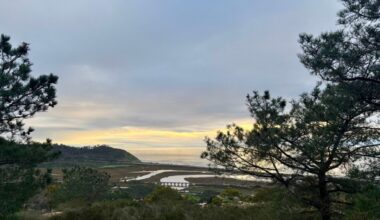 Start the new year with a quiet exploration at the Torrey Pines Extension – San Diego Union-Tribune