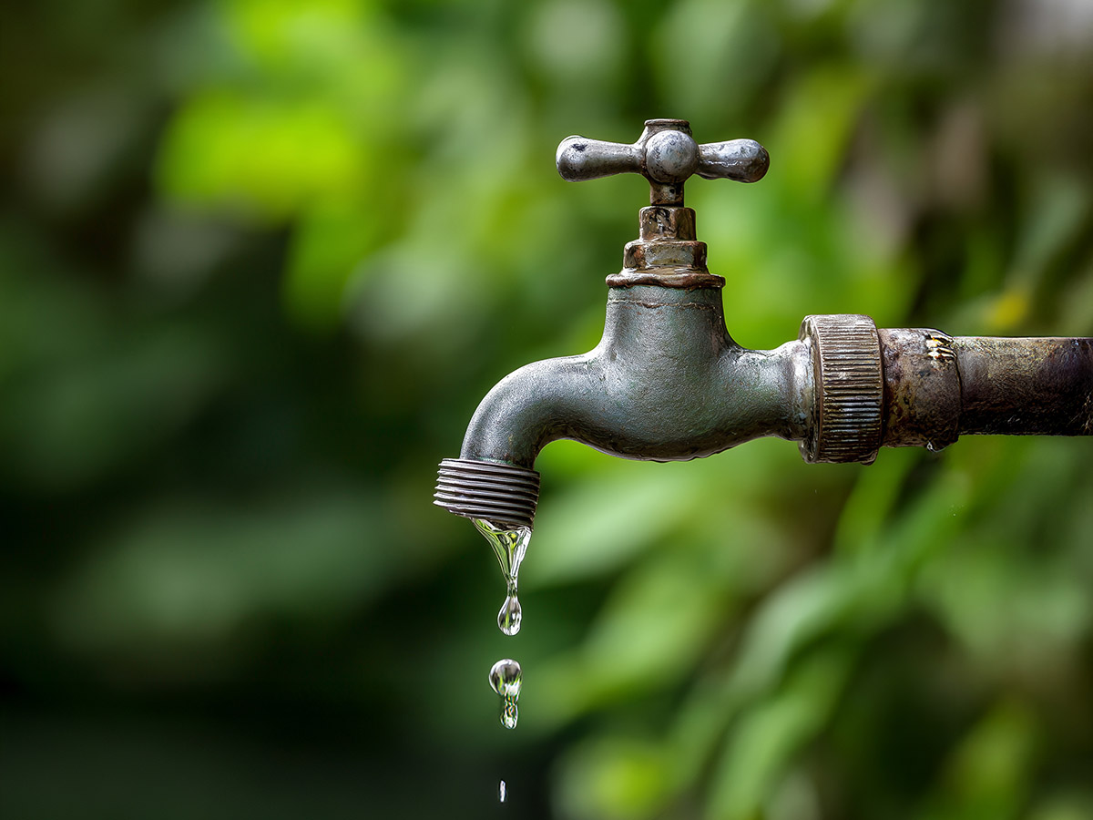 Watch And Act: Monitor conditions for Mulgrave and Russell River flooding  image