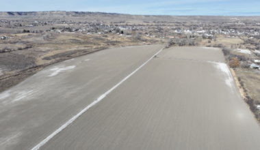 Reactions in Laurel mixed as site is chosen for forensic mental health facility