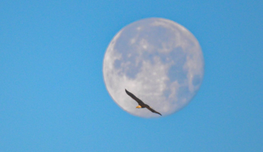 Colorado photographers capture stunning shots of 2026’s first ‘Wolf Moon’