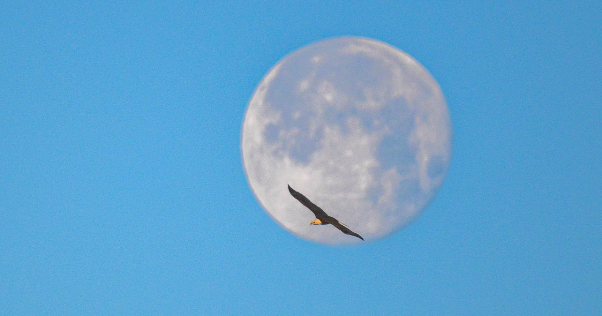 Colorado photographers capture stunning shots of 2026’s first ‘Wolf Moon’