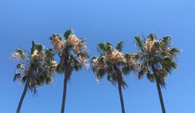 Warm, dry weather expected in San Diego County this week