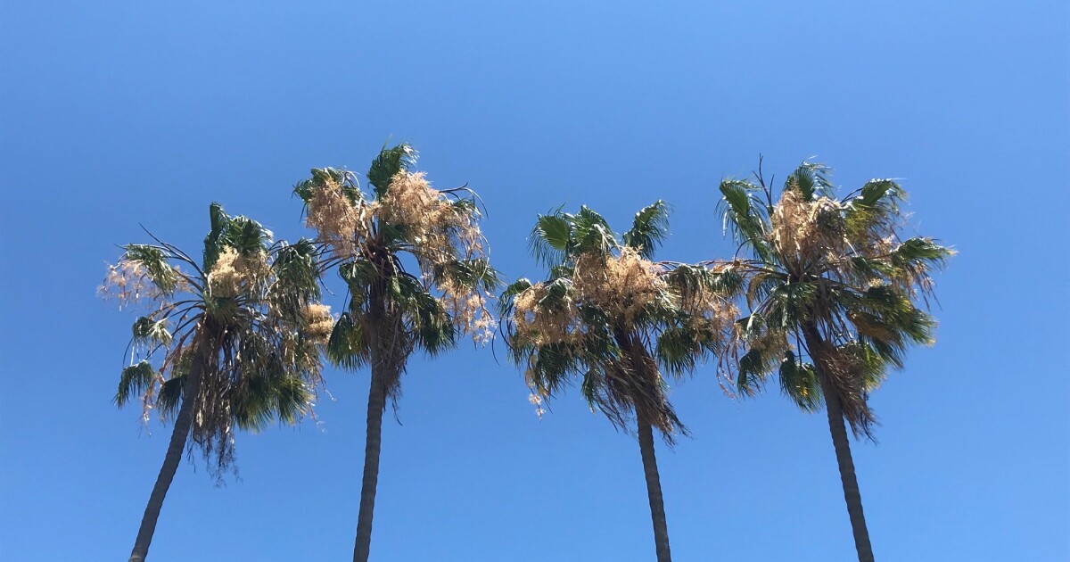 Warm, dry weather expected in San Diego County this week