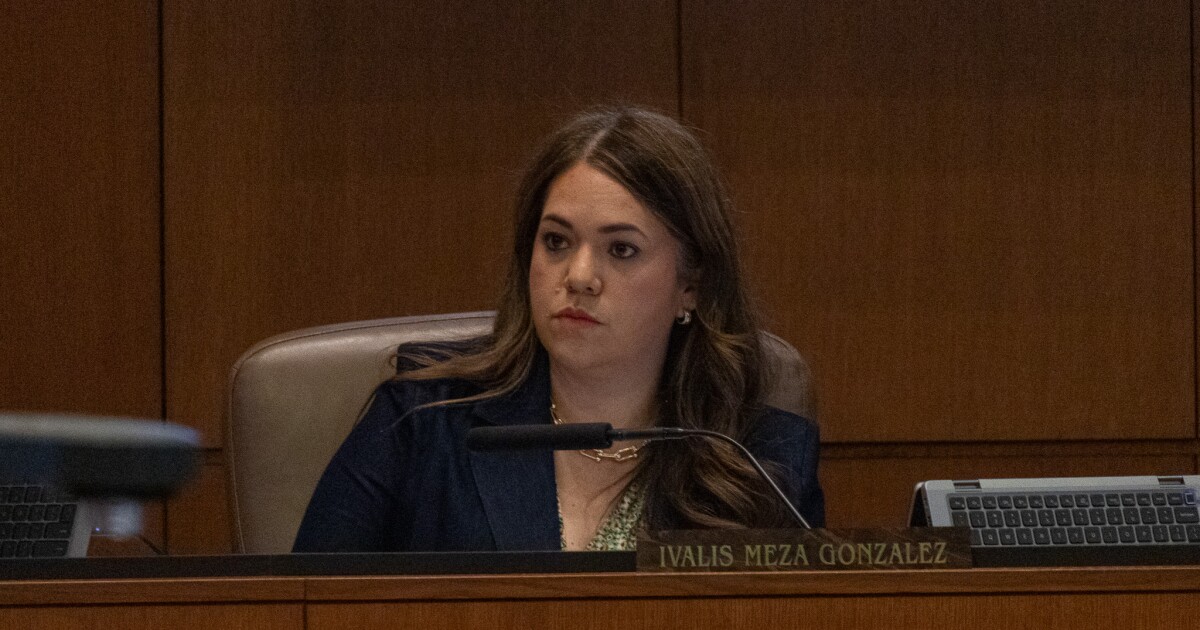 San Antonio councilwoman reinstated to council committees after 2025 DWI arrest