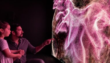 The desert was scanned daily for 2 years. The resulting Phoenix exhibit is part art, part science