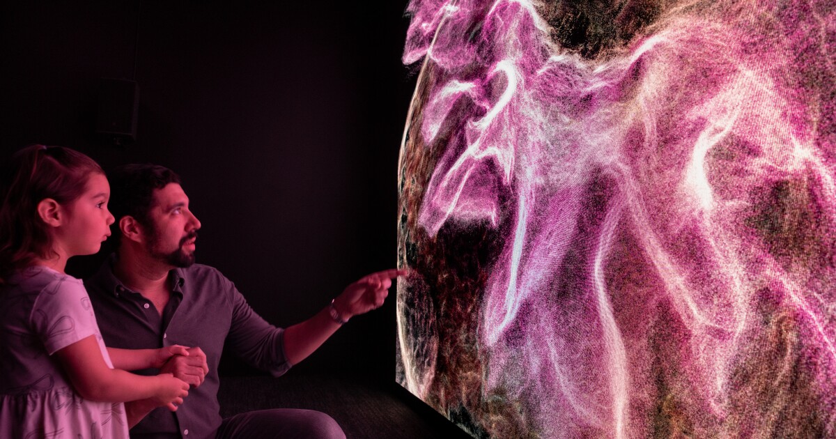 The desert was scanned daily for 2 years. The resulting Phoenix exhibit is part art, part science