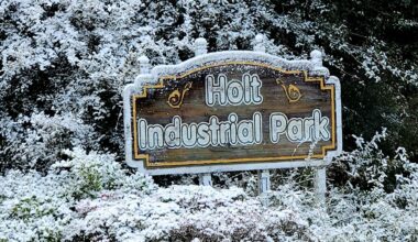 Snow blankets Florida Panhandle for a 2nd year in a row