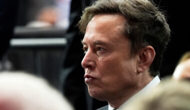 Mother of Elon Musk's son sues xAI over sexual deepfakes created by Grok