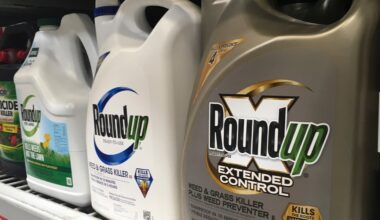 Supreme Court will hear appeal by maker of Roundup weedkiller