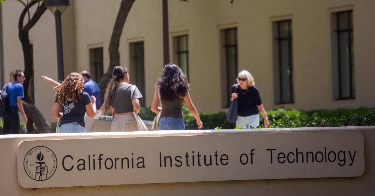 AI may be scoring your college admissions essay